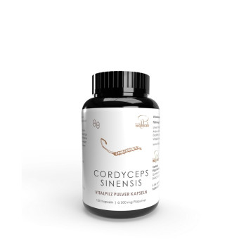 CORDYCEPS PULVER Kapseln